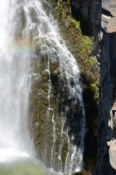 DSC_3778 (Large).JPG